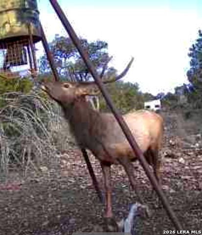 Image 7 of 41 For 884 Sd 16010