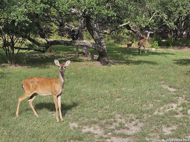 Image 35 of 43 For 168 Danube Pass