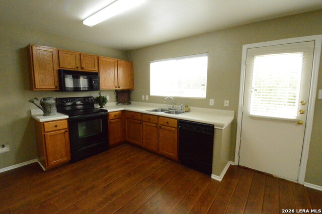 Image 12 of 26 For 25907 Torch Lily