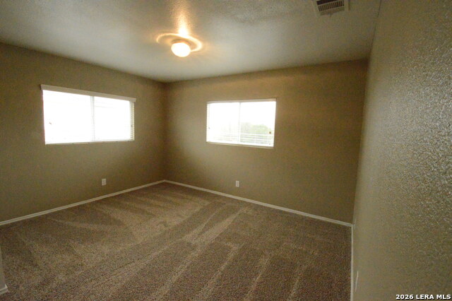 Image 15 of 26 For 25907 Torch Lily