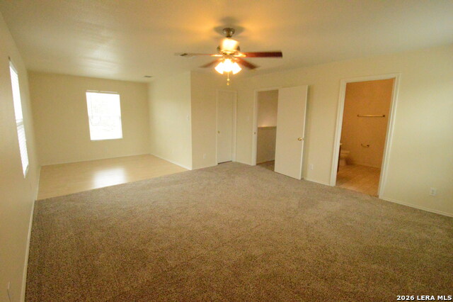 Image 16 of 26 For 25907 Torch Lily