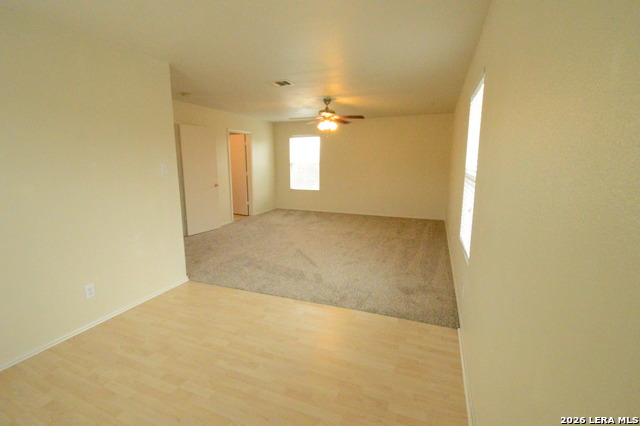 Image 17 of 26 For 25907 Torch Lily