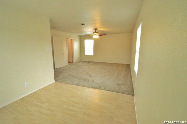 Image 20 of 26 For 25907 Torch Lily