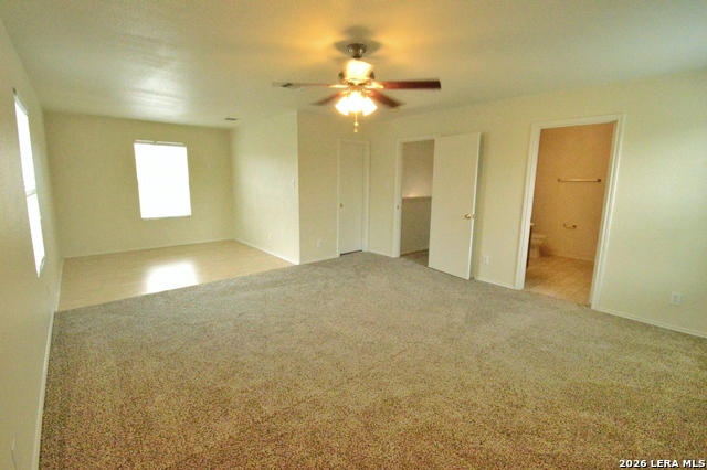 Image 21 of 26 For 25907 Torch Lily