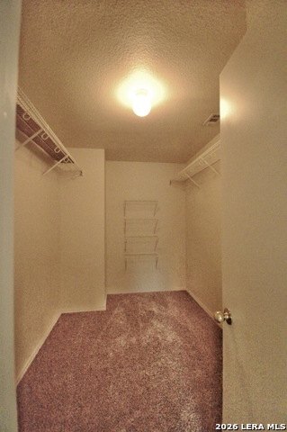 Image 22 of 26 For 25907 Torch Lily