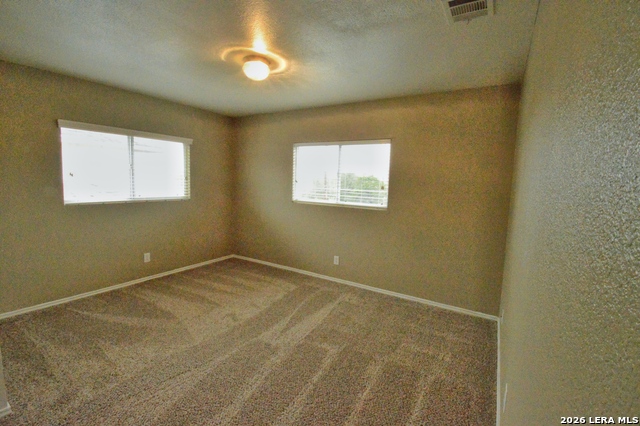 Image 23 of 26 For 25907 Torch Lily