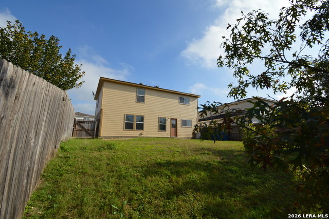 Image 4 of 26 For 25907 Torch Lily