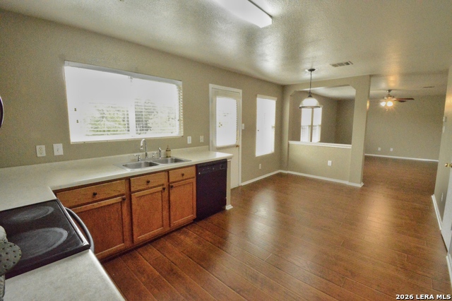 Image 8 of 26 For 25907 Torch Lily