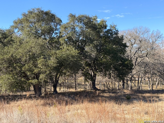 Image 10 of 19 For 2162 Sierra Madre