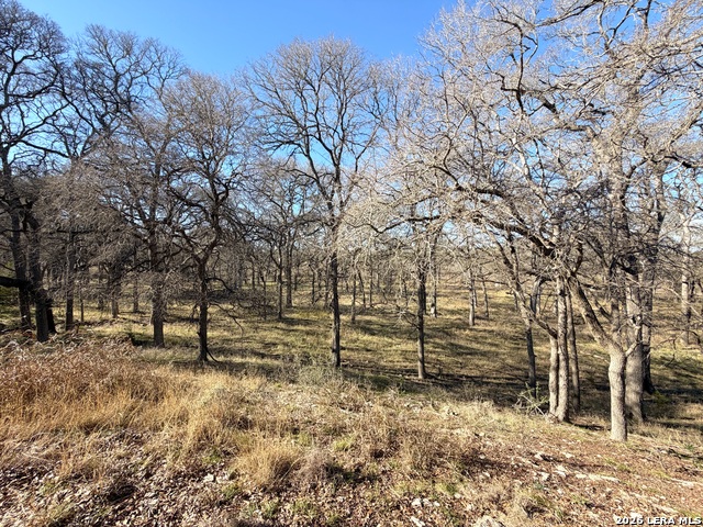 Image 13 of 19 For 2162 Sierra Madre