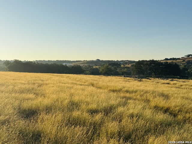 Image 3 of 6 For Lot 1 Purple Sage