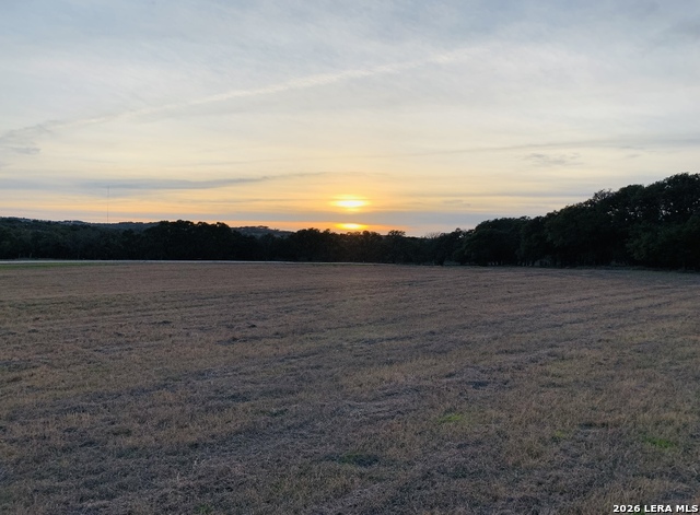 Image 6 of 6 For Lot 1 Purple Sage