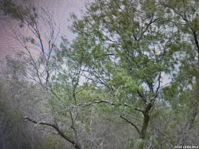 Image 2 of 4 For 00 Ss Farms Lot 1920