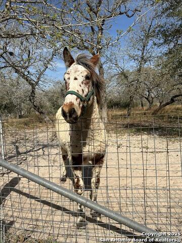 Image 24 of 40 For 140 Guadalupe Ranch