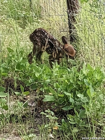 Image 30 of 40 For 140 Guadalupe Ranch