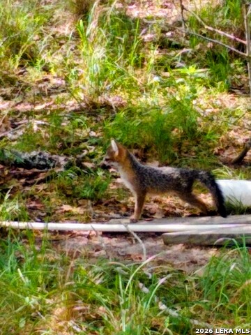 Image 32 of 40 For 140 Guadalupe Ranch