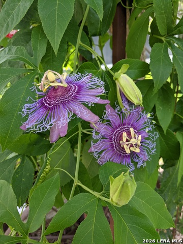 Image 33 of 40 For 140 Guadalupe Ranch