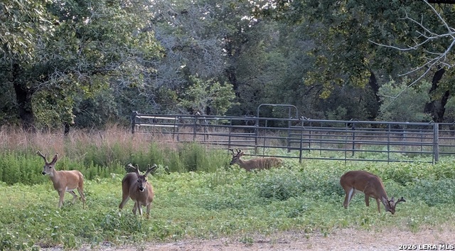 Image 34 of 40 For 140 Guadalupe Ranch