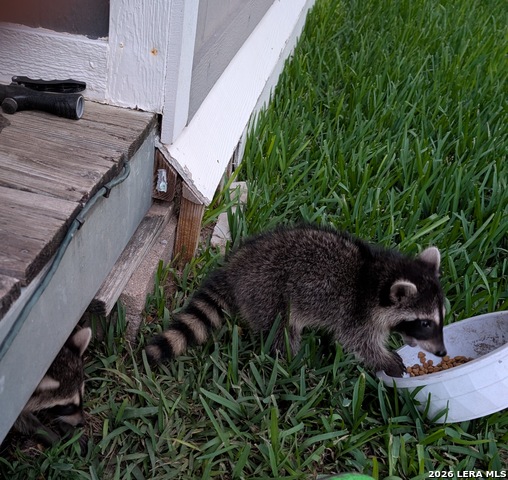 Image 35 of 40 For 140 Guadalupe Ranch