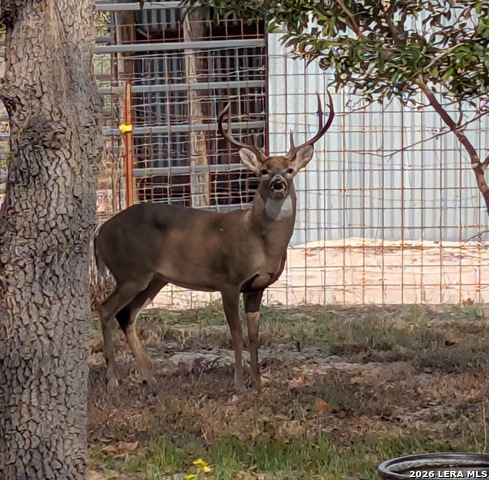 Image 36 of 40 For 140 Guadalupe Ranch