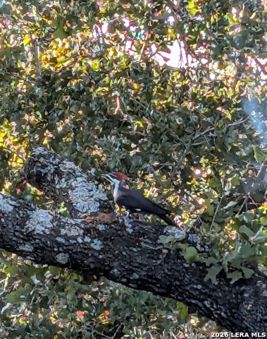 Image 37 of 40 For 140 Guadalupe Ranch