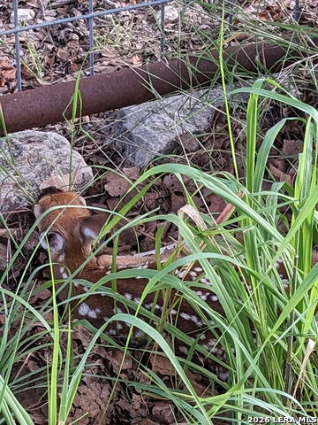 Image 38 of 40 For 140 Guadalupe Ranch