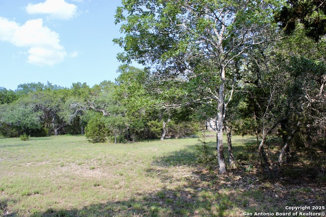 Image 4 of 11 For 197 Rosenberry