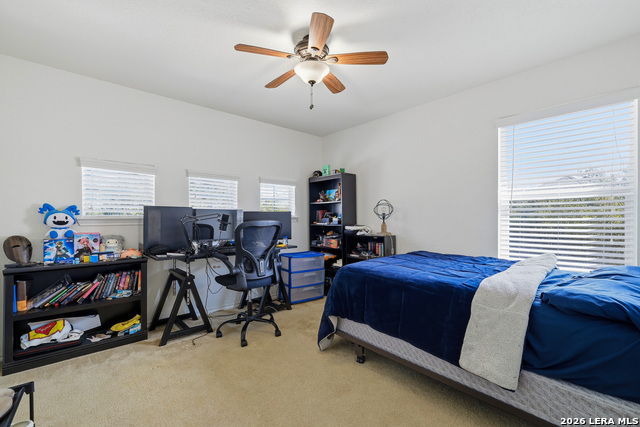 Image 31 of 39 For 13730 Box T  