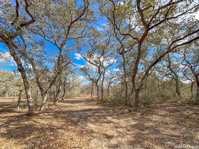Image 12 of 13 For 20 Clear Lake Loop