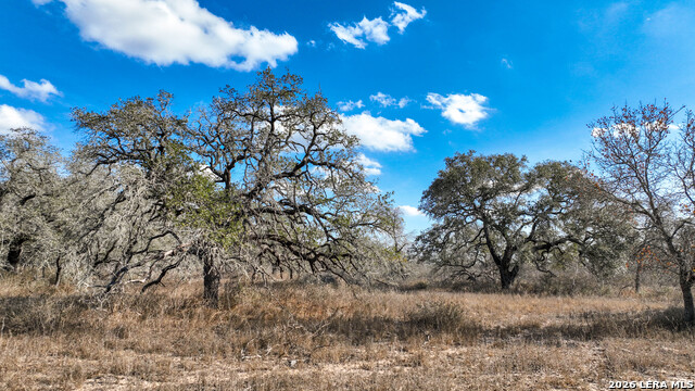 Details for 2703 Cr 770  , Natalia, TX 78059