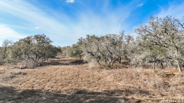 Image 11 of 17 For 2703 Cr 770  