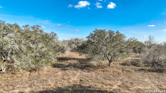 Image 13 of 17 For 2703 Cr 770  