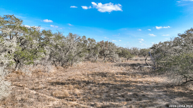 Image 14 of 17 For 2703 Cr 770  