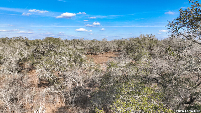 Image 15 of 17 For 2703 Cr 770  