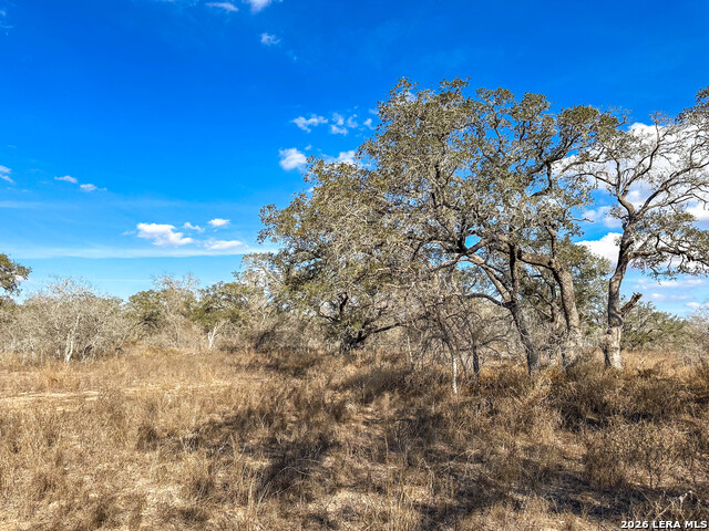 Image 17 of 17 For 2703 Cr 770  