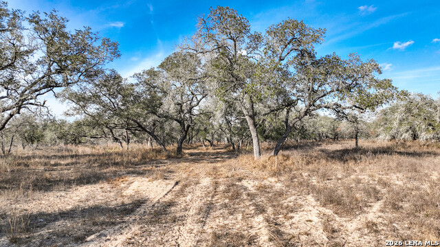 Image 2 of 17 For 2703 Cr 770  