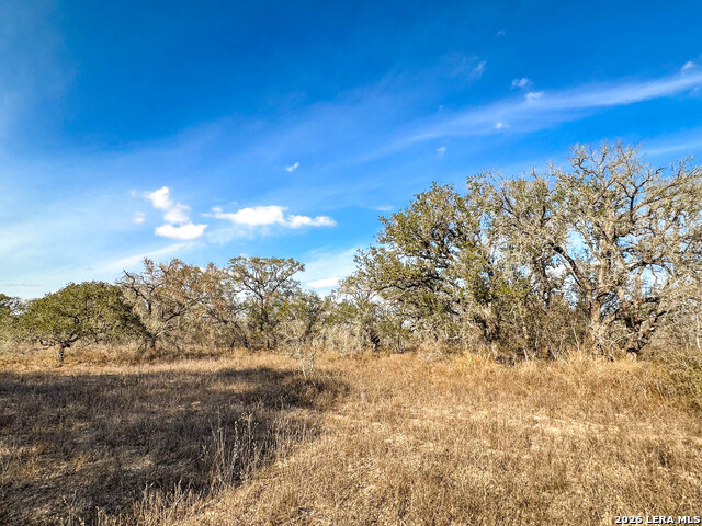 Image 4 of 17 For 2703 Cr 770  