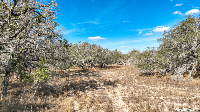 Image 6 of 17 For 2703 Cr 770  