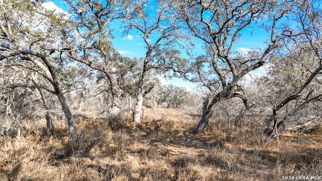 Image 8 of 17 For 2703 Cr 770  