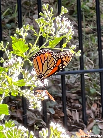 Image 30 of 41 For 515 Stonewood Dr