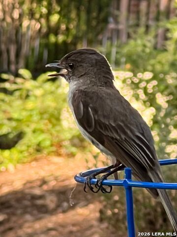 Image 31 of 41 For 515 Stonewood Dr