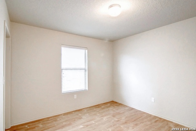 Image 13 of 14 For 7527 Spanish Dagger