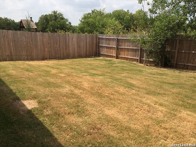 Image 2 of 14 For 7527 Spanish Dagger