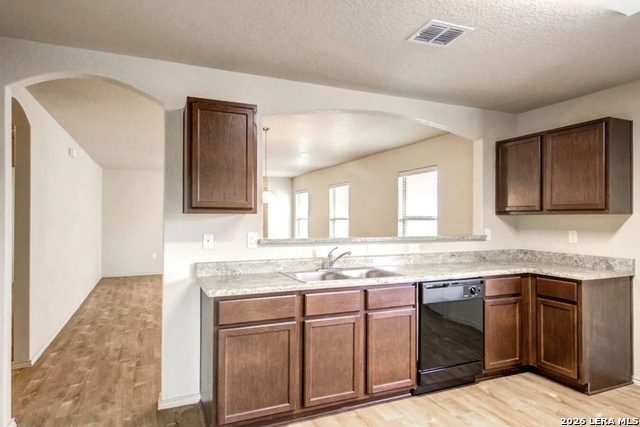 Image 3 of 14 For 7527 Spanish Dagger