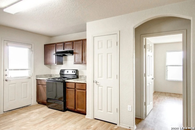 Image 4 of 14 For 7527 Spanish Dagger