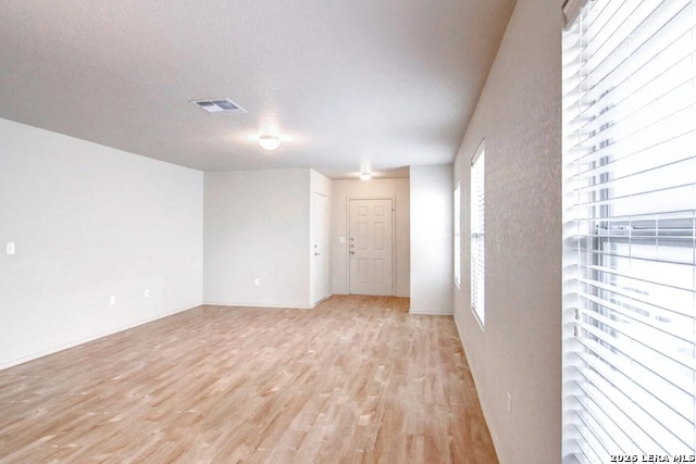 Image 7 of 14 For 7527 Spanish Dagger