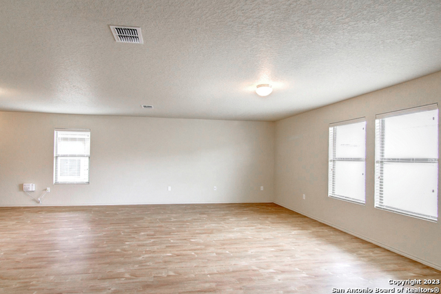 Image 12 of 17 For 7531 Spanish Dagger