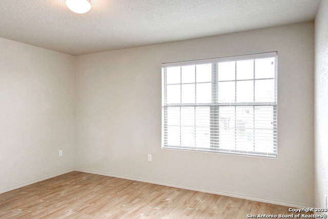 Image 13 of 17 For 7531 Spanish Dagger