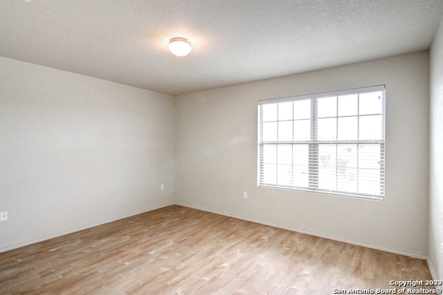 Image 14 of 17 For 7531 Spanish Dagger