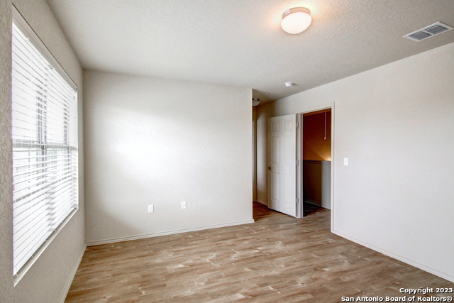 Image 15 of 17 For 7531 Spanish Dagger